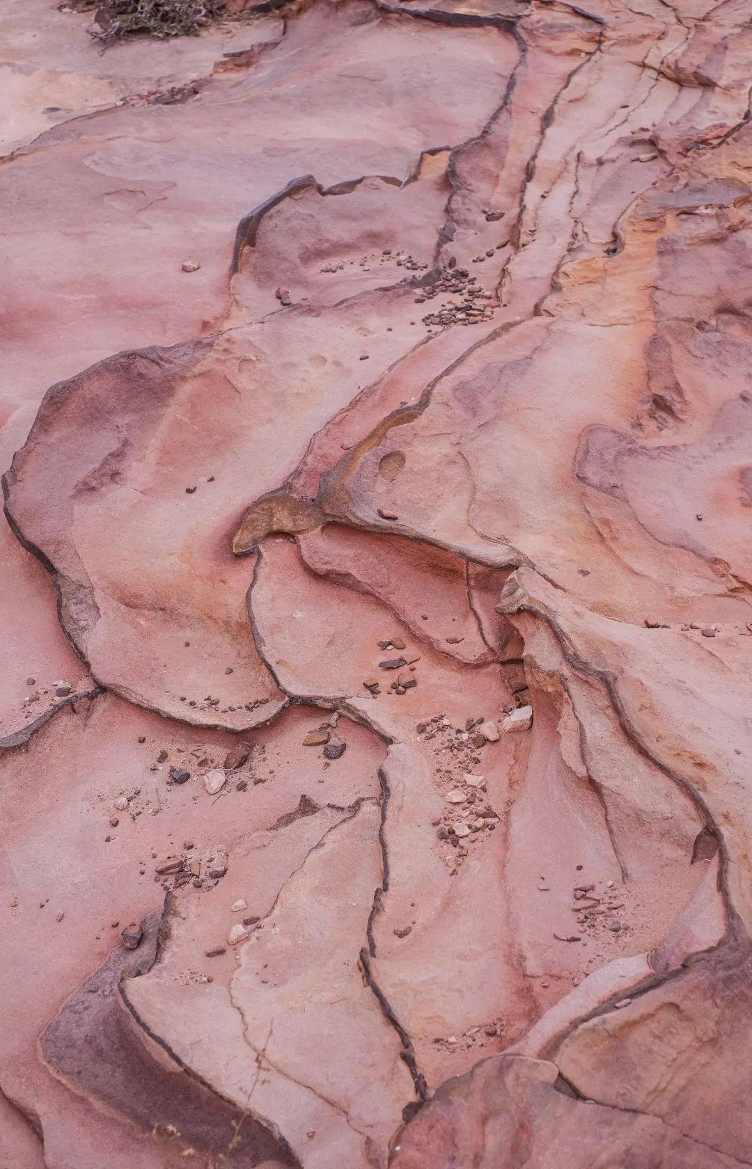 jordan trail