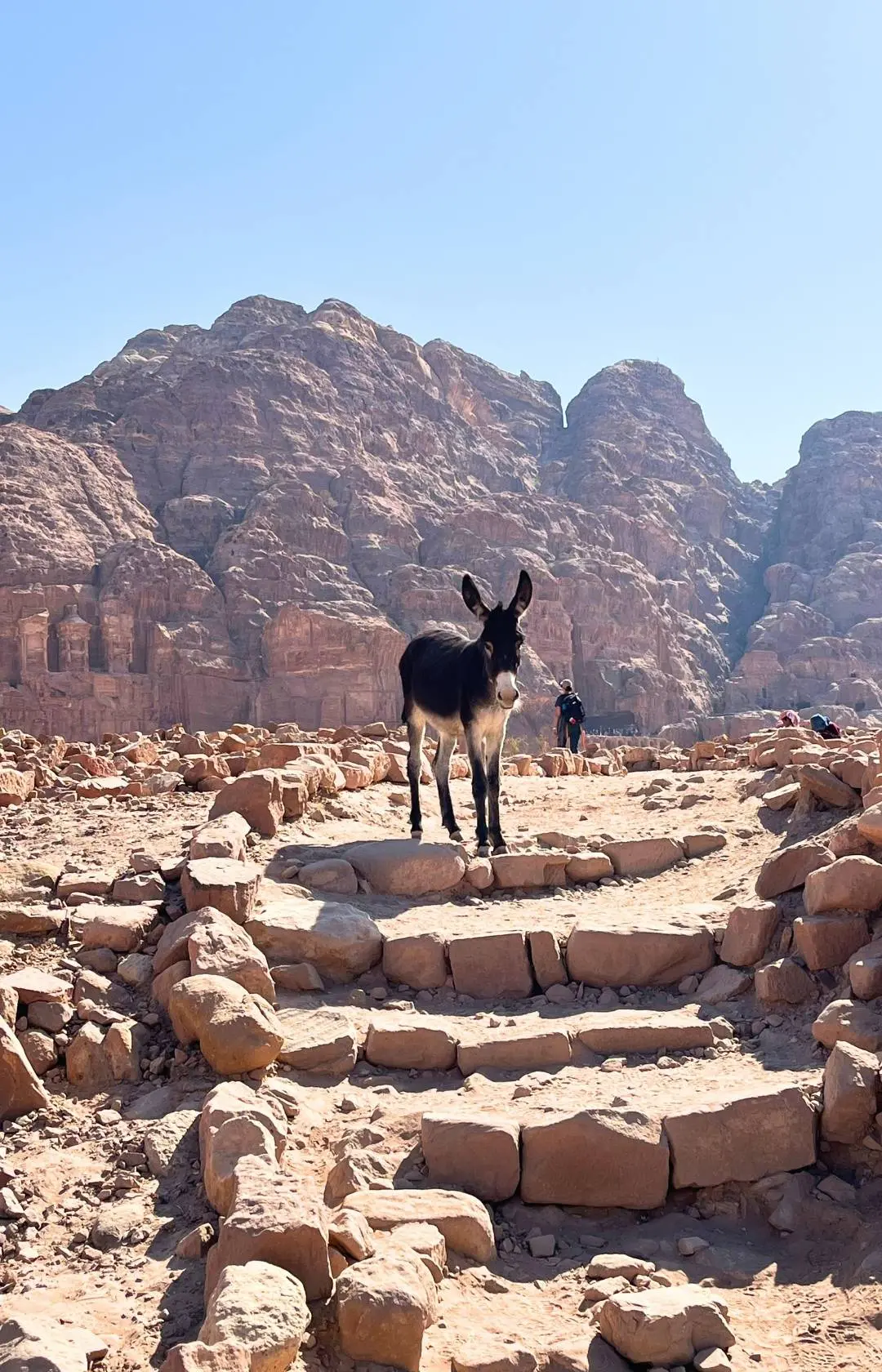 The Jordan Trail: ezel